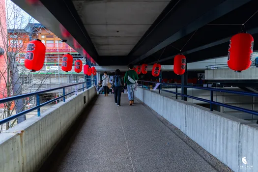 Copyright : Michael Bally